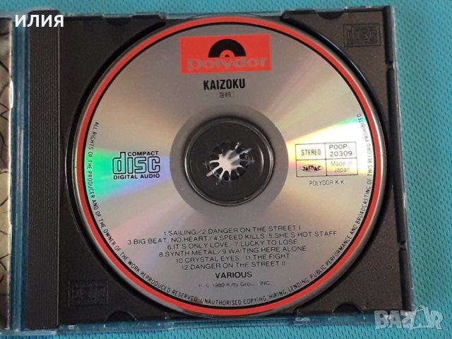 Various – 1989 - 海賊 = Kaizoku(Arena Rock,Hard Rock,Heavy Metal), снимка 6 - CD дискове - 42758228