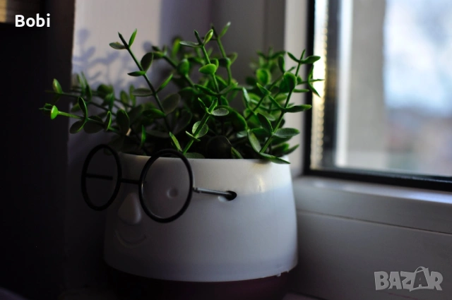 Nikon D90 + обектив и аксесоари, снимка 15 - Фотоапарати - 53085444