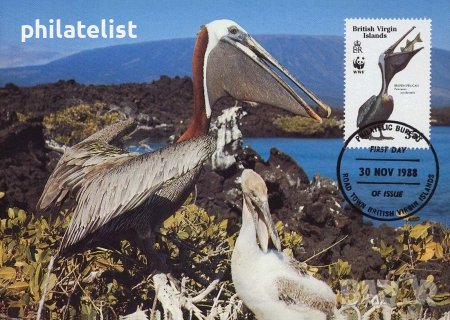 Британски Вирджински острови 1988 - 4 броя Карти Максимум, снимка 4 - Филателия - 38881568