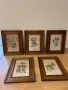 Комплект антикварни картини, 5бр., снимка 1