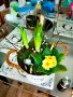 Кашпи с живи цветя, снимка 1 - Декорация за дома - 44143404