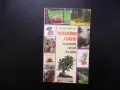 Чудодейни съвети за балкони, тераси, градини бонсаи орхидеи градина, снимка 1