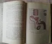 Ръководство по половия въпрос, А. Вандер, 1946, снимка 2