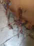 Мото блок Акме. , снимка 4