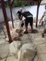 Кърти чисти извозва , снимка 6