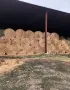 Големи ролонни бали сено, снимка 1