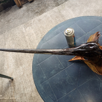 Препарирана глава на риба Меч , снимка 6 - Екипировка - 44589576
