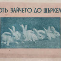 Отъ зайчето до щъркела Ценко Цветановъ, снимка 1 - Антикварни и старинни предмети - 44744826