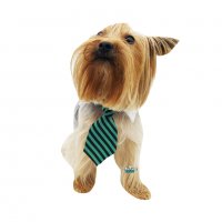 Вратовръзка за куче Официален костюм за куче Кучешки вратовръзки/папийонки Кучешка вратовръзка , снимка 5 - За кучета - 35995600