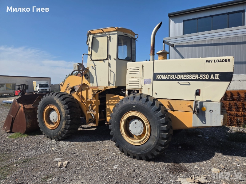 Фадрома комацу , снимка 1