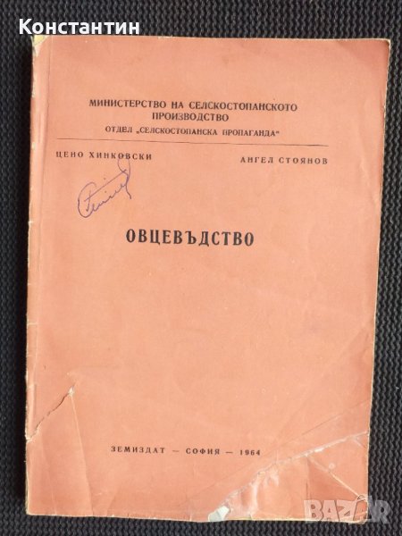 Овцевъдство, снимка 1