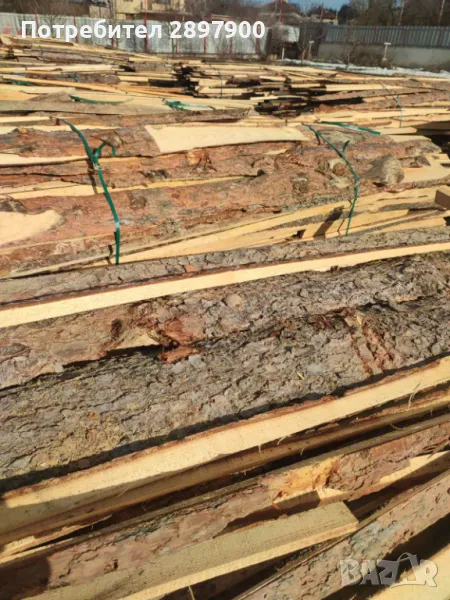 Продавам иглолистни изрезки , снимка 1