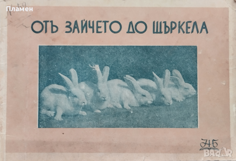 Отъ зайчето до щъркела Ценко Цветановъ, снимка 1