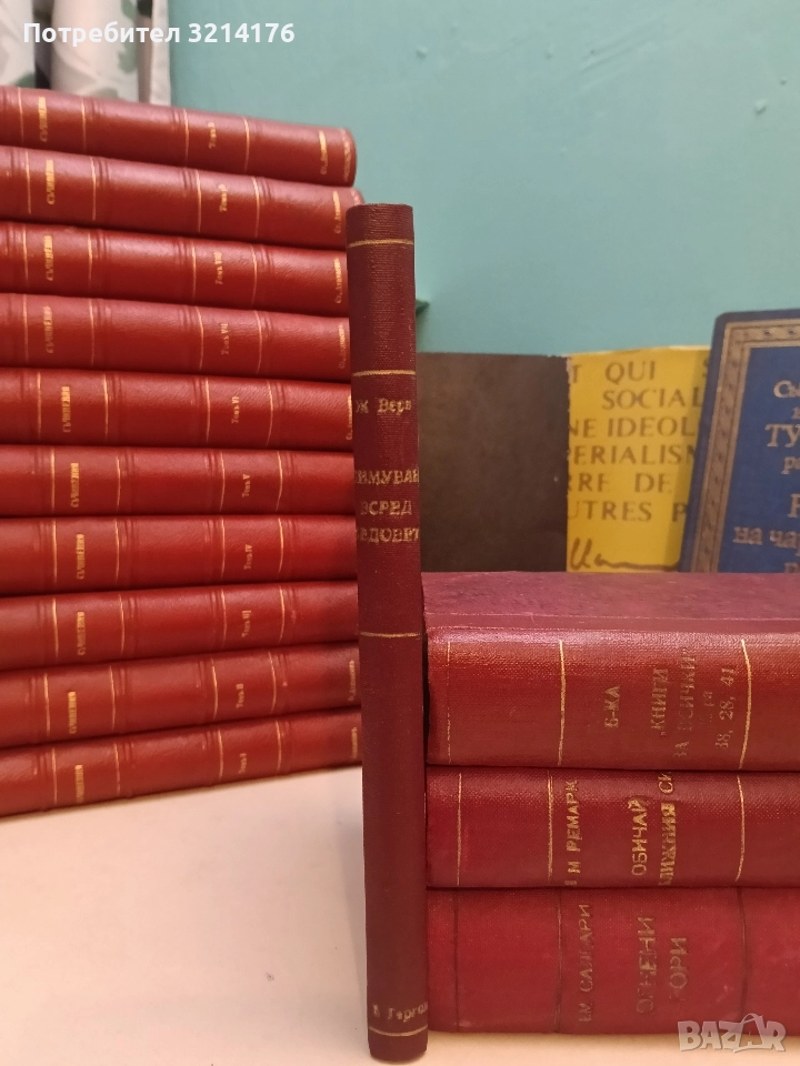 Зимуване всред ледовете - Жул Верн (Луксозна изработка), снимка 1