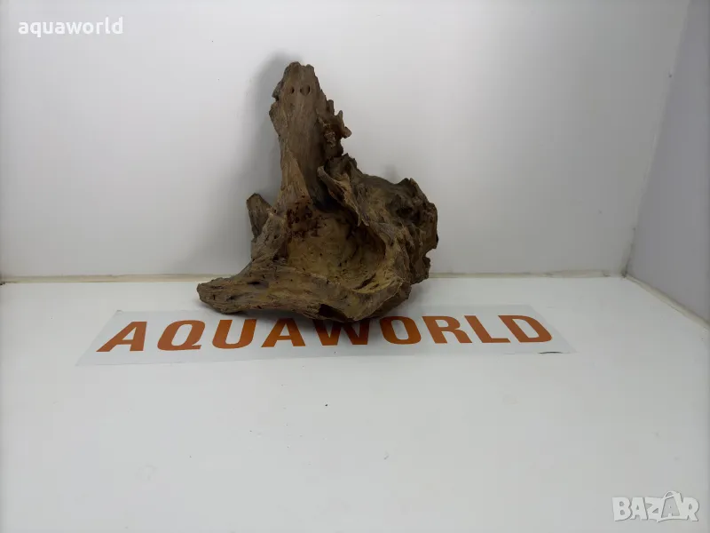 Африканско дърво 1, снимка 1