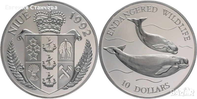 инвестиционна сребърна монета кит, снимка 1