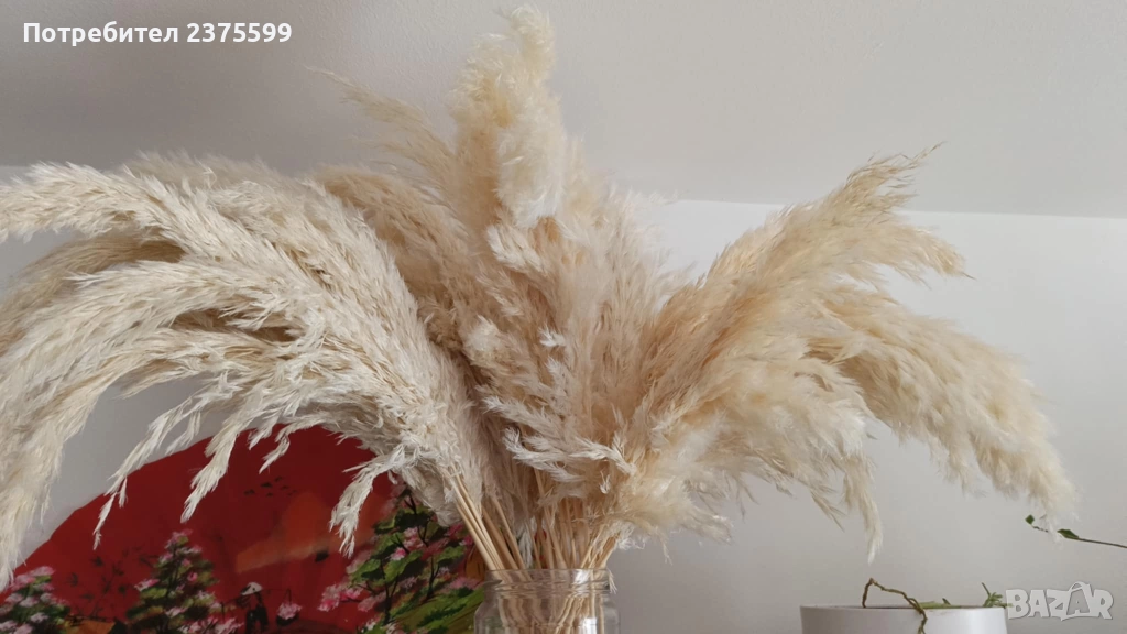 Пампас , снимка 1