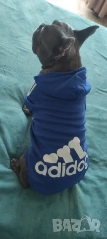 Анорак за едро куче 3XL- 6XL. Дрехи за едри кучета. Кучешки дрехи. Големи якета за кучета кучета, снимка 5 - За кучета - 34334167