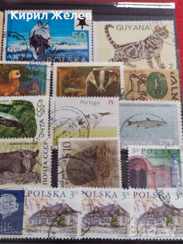 Лот Пощенски марки смесени серий ЖИВОТНИ от цял свят за КОЛЕКЦИЯ 22629, снимка 12 - Филателия - 40364741