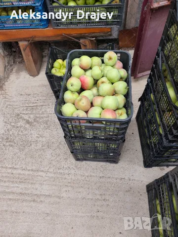 Круши, Ябълки,Мед и Сокове , снимка 6 - Домашни продукти - 56258345