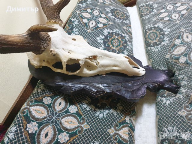 Трофей от голям благороден елен с поставка от дъб–ръчна дърворезба., снимка 6 - Антикварни и старинни предмети - 36803498