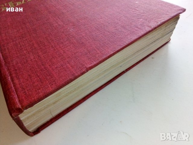 Кратка История на България - 1983г. , снимка 15 - Енциклопедии, справочници - 39988604