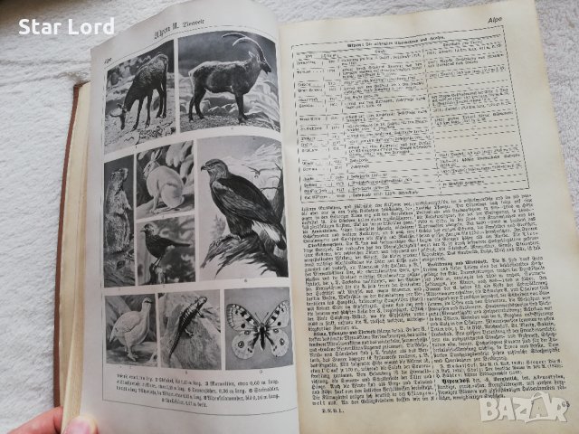 Антикварни книги на немски - 1929 г и 1937 г., снимка 10 - Антикварни и старинни предмети - 30372445