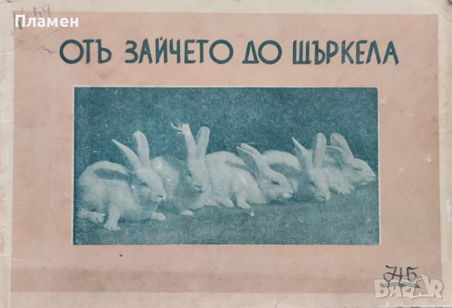 Отъ зайчето до щъркела Ценко Цветановъ, снимка 1 - Антикварни и старинни предмети - 44744826