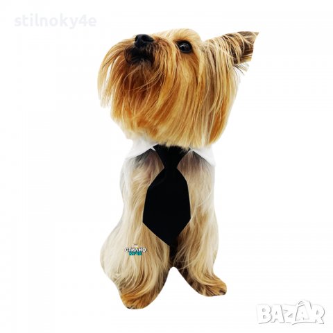 Вратовръзка за дребни, средни и едри породи кучета Кучешки вратовръзки Кучешка вратовръзка/папийонка, снимка 5 - За кучета - 29407299