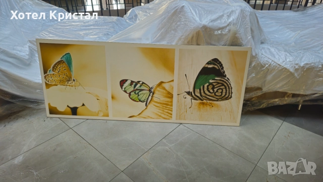 Разпродажба! Картини пеперуди, снимка 5 - Картини - 52328431