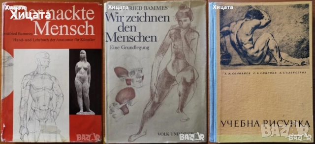 Gottfried Bammes:Der nackte Mensch;Wir zeichnen den Menschen;Учебна рисунка;История на изкуството, снимка 3 - Енциклопедии, справочници - 41524901