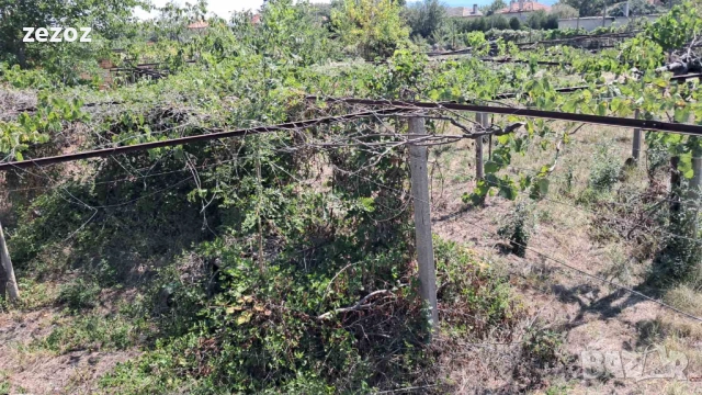 УПИ с.Ветрен-980кв.м, снимка 6 - Парцели - 52707494