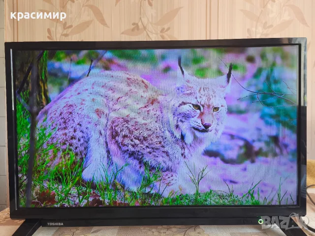 Toshiba 24WA2063DG 24" Smart Android TV - проблем с колонките, снимка 4 - Телевизори - 55961319