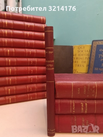 Зимуване всред ледовете - Жул Верн (Луксозна изработка)