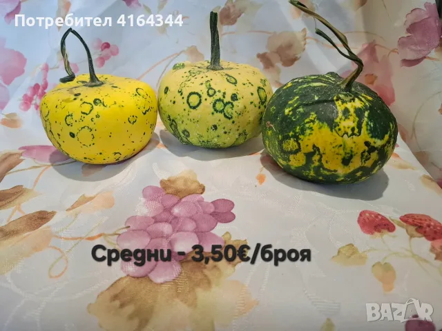 Естествени декоративни тикви, снимка 9 - Декорация за дома - 55722322