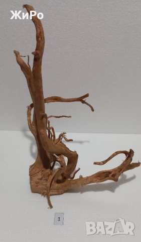 Корен от Азалия /декорация/ 1