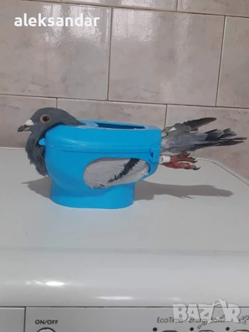 Пистолет за ваксиниране 10мл за птици и други животни , снимка 7 - За птици - 50597906