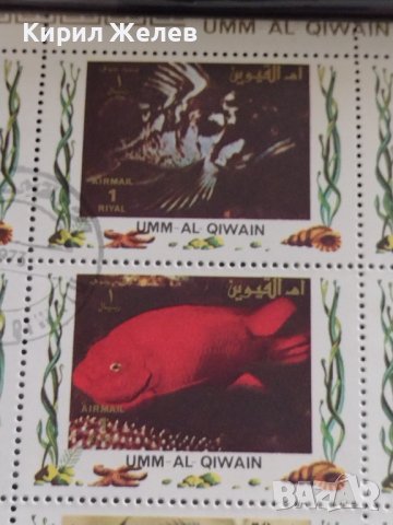 Пощенски марки серия ТРОПИЧЕСКИ РИБИ поща Кувейт много красиви за КОЛЕКЦИЯ 37884, снимка 5 - Филателия - 40476436