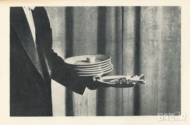 АЛБУМ ЗА СЕРВИРАНЕ, снимка 5 - Специализирана литература - 33703399