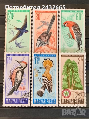 1553. Унгария 1966 = “ Фауна. Защитени видове птици ”
