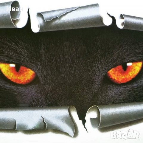 Два размера висококачествен 3Д 3D стикер лепенка очи на котка за кола автомобил джип, снимка 4 - Аксесоари и консумативи - 31091659