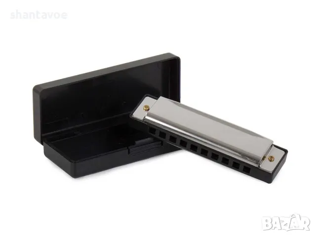 Класическа хармоника с 10 тона и кутия за съхранение, снимка 2 - Музикални играчки - 49369326