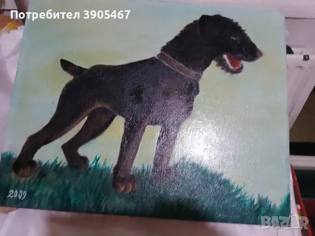 Моят любим шнауцер, снимка 2 - Други ценни предмети - 56109466