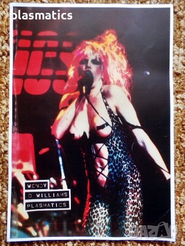 Vinyl-грамофонна плоча - PLASMATICS , снимка 12 - Грамофонни плочи - 27041046