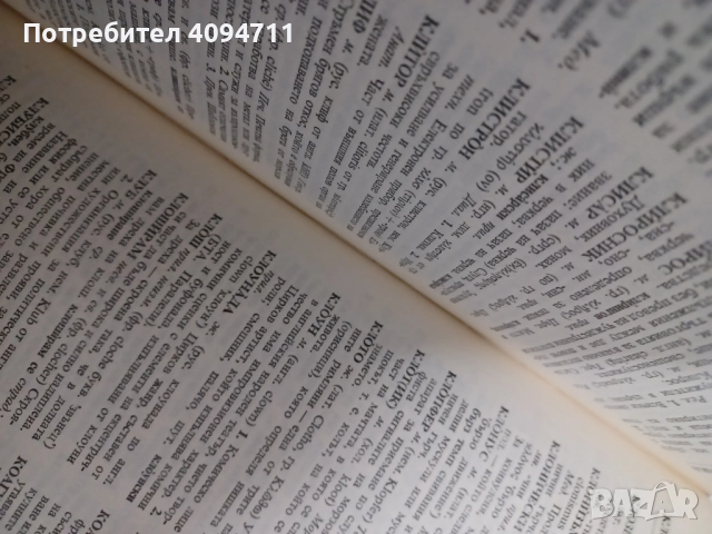 Речник на чуждите думи в Българският език, снимка 3 - Енциклопедии, справочници - 52495733