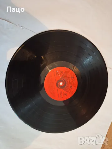 ЕСТРАДНА ПАЛИТРА