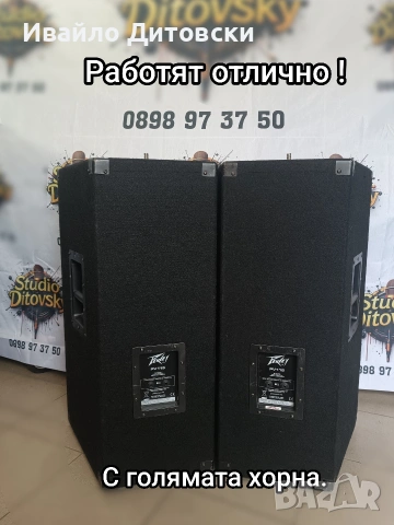 15-ки "Peavey", снимка 3 - Тонколони - 54015502
