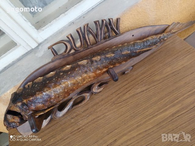 Трофей, Риболовен трофей щука от ДУНАВ, на над 50 години, снимка 14 - Декорация за дома - 37053412