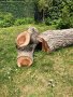 Орех дърво за материал-нарязан, снимка 3