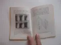 Книга Едроплоден дрян Цолов , снимка 5